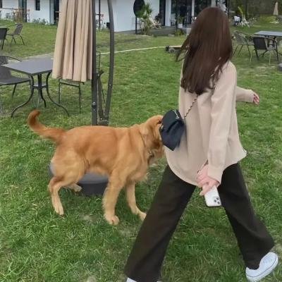 双面女蝎星